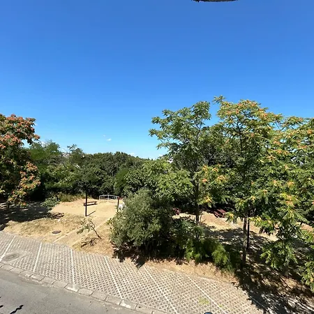 над плажа 招待所 茨雷沃