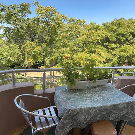 招待所 над плажа